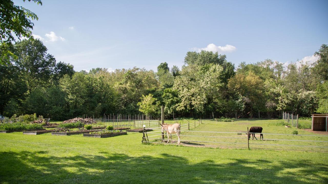 La Collina Delle Mignole Vila Moruzzo Exterior foto